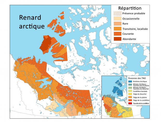 Répartition du renard arctique