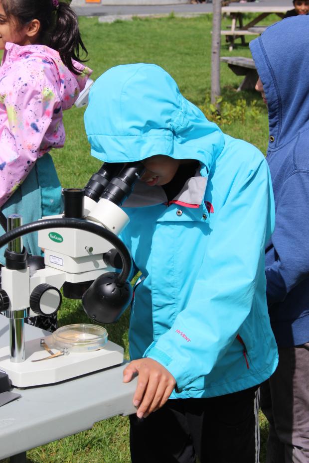 A student uses a microscope to observe a benthic organism. 